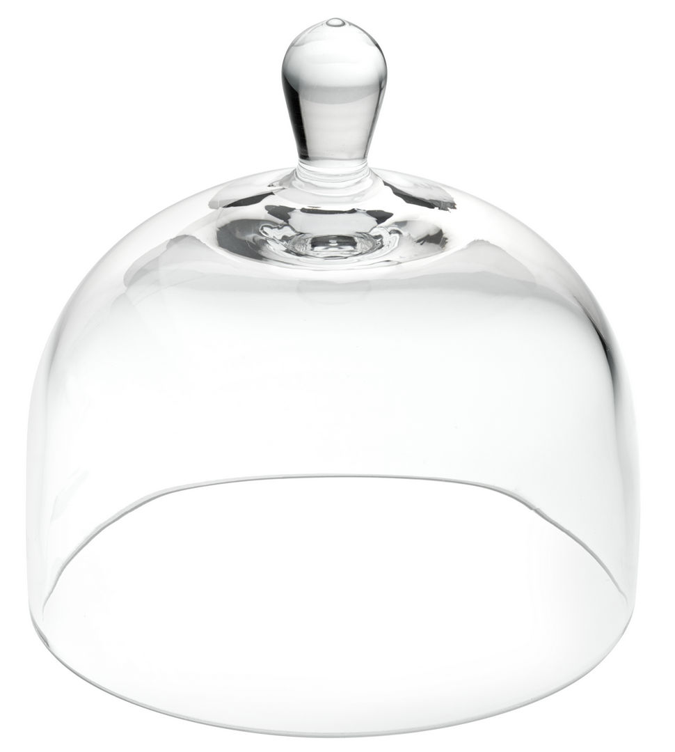 Glass Cloche 4